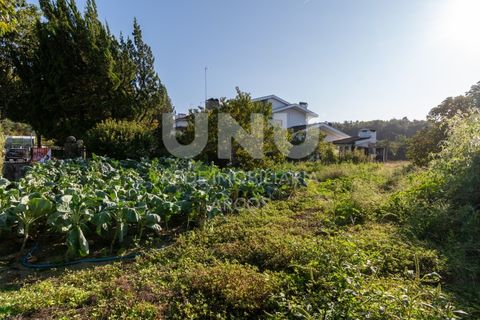 Villa i Arcos de Valdevez, Viana do Castelo, Arcos de Valdevez - € 525.000 | Ref: UNU.I.164.23362 - foto 42