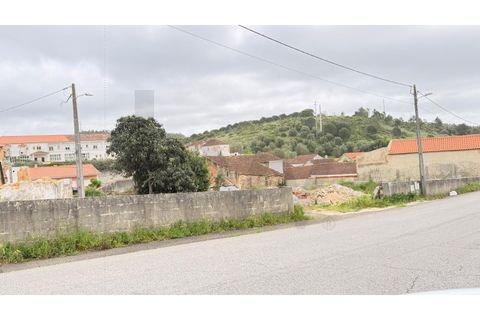 Villa i Rio Maior, Santarem, Rio Maior - € 420.000 | Ref: KWPT-036012 - foto 13