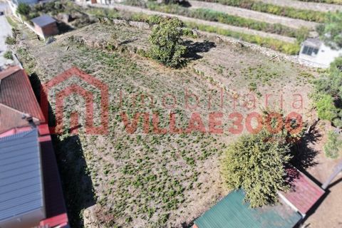 Helårsgrund i Vila Real, Vila Real, Vila Real - € 63.000 | Ref: SÒL_460 - foto 3