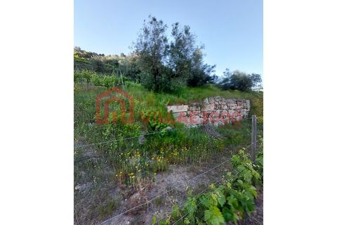 Helårsgrund i Vila Real, Vila Real, Vila Real - € 35.000 | Ref: TER_368 - foto 2