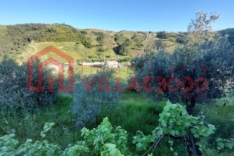 Helårsgrund i Vila Real, Vila Real, Vila Real - € 35.000 | Ref: TER_368 - foto 4