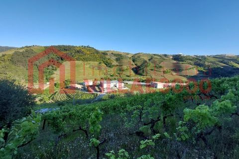 Helårsgrund i Vila Real, Vila Real, Vila Real - € 35.000 | Ref: TER_368 - foto 7