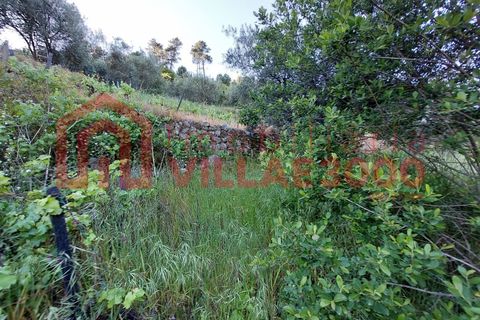 Helårsgrund i Vila Real, Vila Real, Vila Real - € 35.000 | Ref: TER_368 - foto 11