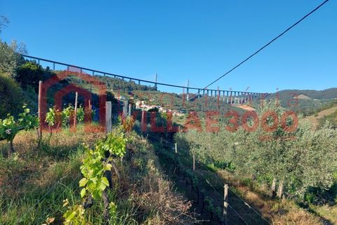 Helårsgrund i Vila Real, Vila Real, Vila Real - € 35.000 | Ref: TER_368 - foto 14