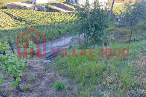 Helårsgrund i Vila Real, Vila Real, Vila Real - € 35.000 | Ref: TER_368 - foto 16