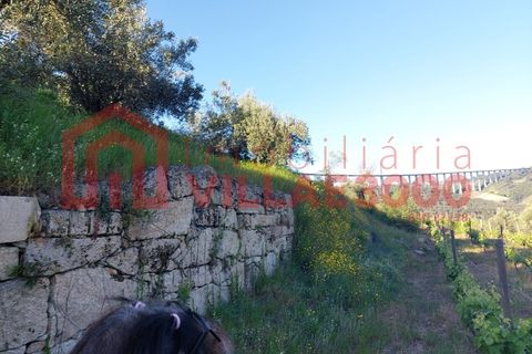 Helårsgrund i Vila Real, Vila Real, Vila Real - € 35.000 | Ref: TER_368 - foto 19