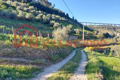 Helårsgrund i Vila Real, Vila Real, Vila Real - € 35.000 | Ref: TER_368 - foto 20