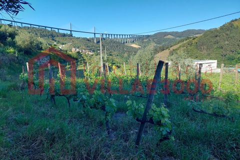 Helårsgrund i Vila Real, Vila Real, Vila Real - € 35.000 | Ref: TER_368 - foto 21