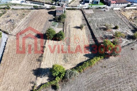 Helårsgrund i Vila Real, Vila Real, Vila Real - € 68.000 | Ref: TER_465 - foto 5