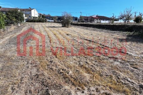 Helårsgrund i Vila Real, Vila Real, Vila Real - € 68.000 | Ref: TER_465 - foto 7