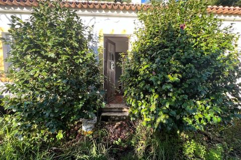 Villa i Sintra, Lisbon, Sintra - € 750.000 | Ref: KWPT-033530 - foto 2