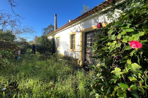 Villa i Sintra, Lisbon, Sintra - € 750.000 | Ref: KWPT-033530 - foto 5