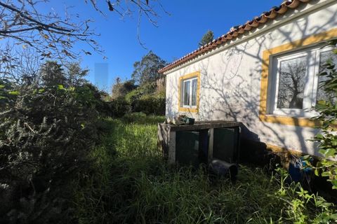 Villa i Sintra, Lisbon, Sintra - € 750.000 | Ref: KWPT-033530 - foto 6