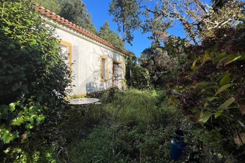 Villa i Sintra, Lisbon, Sintra - € 750.000 | Ref: KWPT-033530 - foto 11