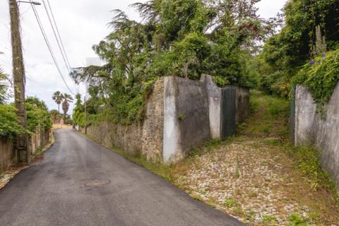 Villa i Sintra, Lisbon, Sintra - € 750.000 | Ref: KWPT-033530 - foto 13
