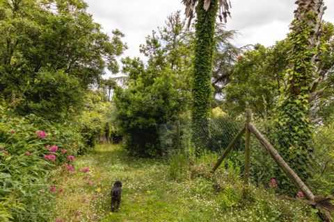 Villa i Sintra, Lisbon, Sintra - € 750.000 | Ref: KWPT-033530 - foto 16