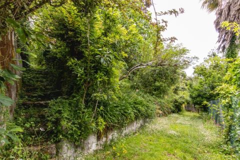 Villa i Sintra, Lisbon, Sintra - € 750.000 | Ref: KWPT-033530 - foto 17