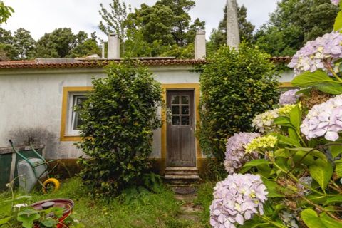 Villa i Sintra, Lisbon, Sintra - € 750.000 | Ref: KWPT-033530 - foto 18
