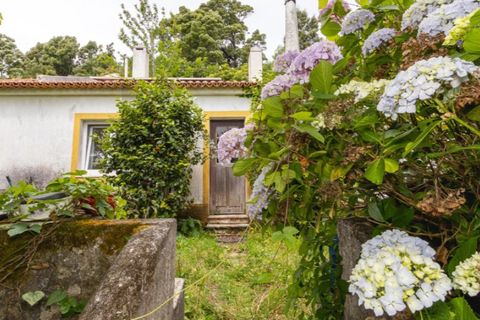 Villa i Sintra, Lisbon, Sintra - € 750.000 | Ref: KWPT-033530 - foto 19