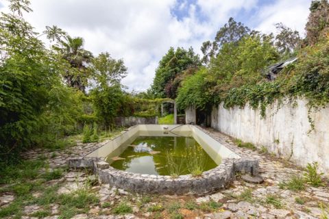 Villa i Sintra, Lisbon, Sintra - € 750.000 | Ref: KWPT-033530 - foto 20