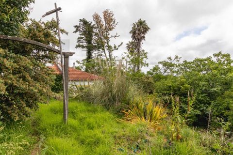 Villa i Sintra, Lisbon, Sintra - € 750.000 | Ref: KWPT-033530 - foto 25