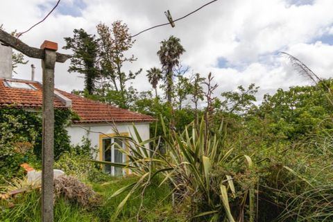 Villa i Sintra, Lisbon, Sintra - € 750.000 | Ref: KWPT-033530 - foto 26