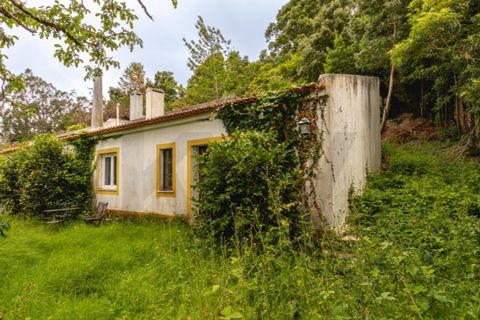 Villa i Sintra, Lisbon, Sintra - € 750.000 | Ref: KWPT-033530 - foto 30