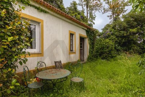 Villa i Sintra, Lisbon, Sintra - € 750.000 | Ref: KWPT-033530 - foto 31