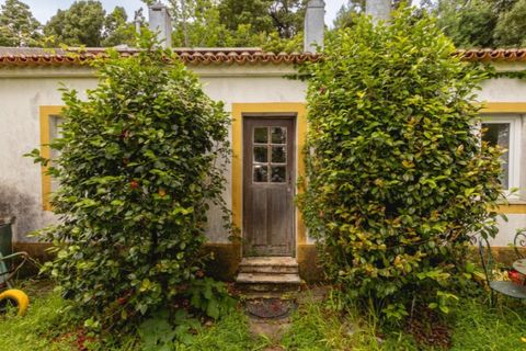Villa i Sintra, Lisbon, Sintra - € 750.000 | Ref: KWPT-033530 - foto 32