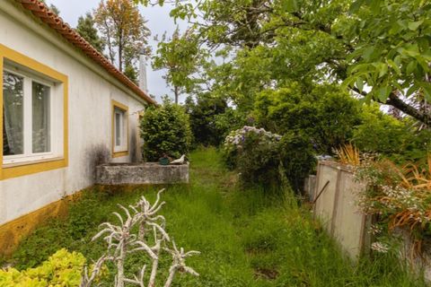 Villa i Sintra, Lisbon, Sintra - € 750.000 | Ref: KWPT-033530 - foto 33