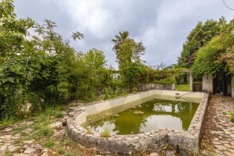 Villa i Sintra, Lisbon, Sintra - € 750.000 | Ref: KWPT-033530 - foto 36