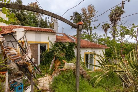 Villa i Sintra, Lisbon, Sintra - € 750.000 | Ref: KWPT-033530 - foto 38