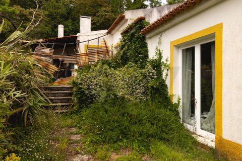 Villa i Sintra, Lisbon, Sintra - € 750.000 | Ref: KWPT-033530 - foto 41