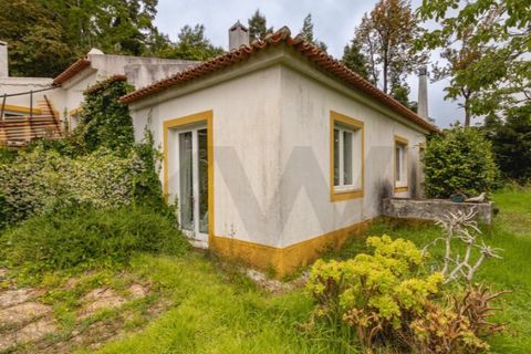 Villa i Sintra, Lisbon, Sintra - € 750.000 | Ref: KWPT-033530 - foto 42