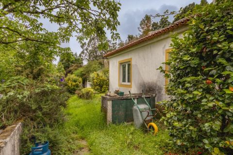 Villa i Sintra, Lisbon, Sintra - € 750.000 | Ref: KWPT-033530 - foto 43
