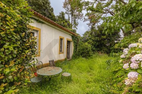 Villa i Sintra, Lisbon, Sintra - € 750.000 | Ref: KWPT-033530 - foto 44