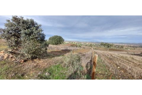 Tomt i Sao Pedro do Corval, Evora, Sao Pedro do Corval - € 110 000 | Ref: SÒL_363 - foto 6