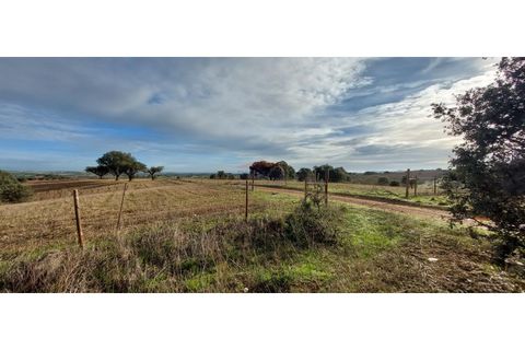 Tomt i Sao Pedro do Corval, Evora, Sao Pedro do Corval - € 110 000 | Ref: SÒL_363 - foto 9
