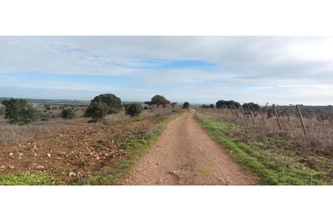 Tomt i Sao Pedro do Corval, Evora, Sao Pedro do Corval - € 110 000 | Ref: SÒL_363 - foto 11