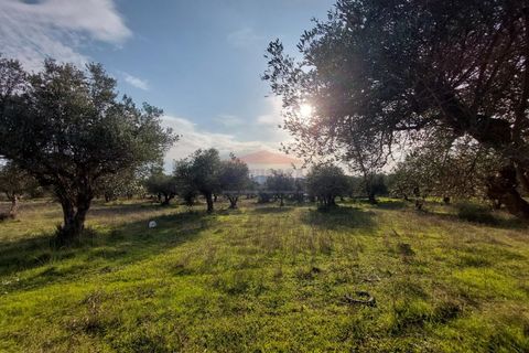 Helårsgrund i Elvas, Portalegre, Elvas - € 150.000 | Ref: SÒL_385 - foto 3