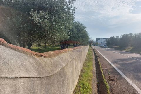 Helårsgrund i Elvas, Portalegre, Elvas - € 150.000 | Ref: SÒL_385 - foto 6