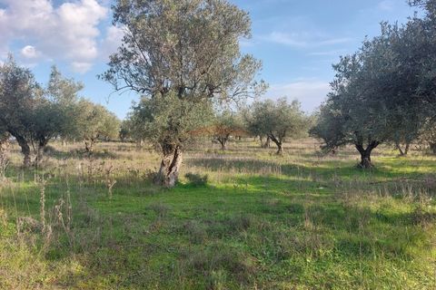 Helårsgrund i Elvas, Portalegre, Elvas - € 150.000 | Ref: SÒL_385 - foto 7