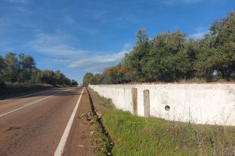 Helårsgrund i Elvas, Portalegre, Elvas - € 150.000 | Ref: SÒL_385 - foto 8