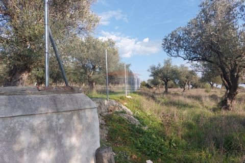 Helårsgrund i Elvas, Portalegre, Elvas - € 150.000 | Ref: SÒL_385 - foto 9