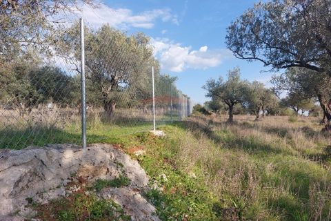 Helårsgrund i Elvas, Portalegre, Elvas - € 150.000 | Ref: SÒL_385 - foto 10