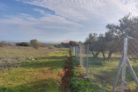 Helårsgrund i Elvas, Portalegre, Elvas - € 150.000 | Ref: SÒL_385 - foto 11