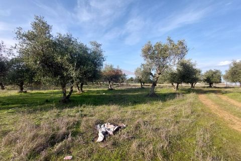 Helårsgrund i Elvas, Portalegre, Elvas - € 150.000 | Ref: SÒL_385 - foto 12