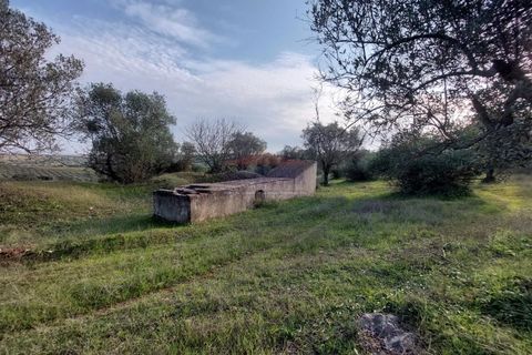 Helårsgrund i Elvas, Portalegre, Elvas - € 150.000 | Ref: SÒL_385 - foto 15