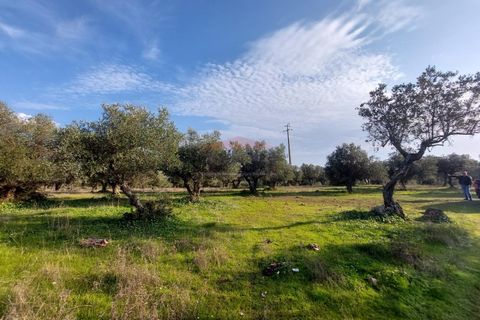 Helårsgrund i Elvas, Portalegre, Elvas - € 150.000 | Ref: SÒL_385 - foto 16