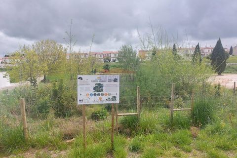 Terra a Vila Vicosa, Evora, Vila Vicosa - € 17.000 | Ref: PAR_401 - foto 13